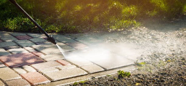 Best Roof Washing  in Lakewood, IL