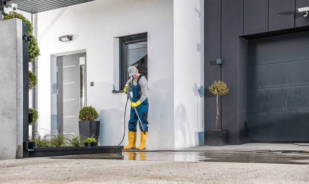 Best Rust Removal  in Lakewood, IL